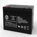 AJC Battery Compatible with Emerson M2 12V 55Ah UPS Battery