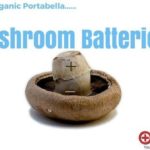 mushroom batteries
