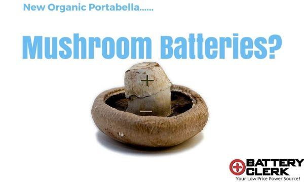 mushroom batteries